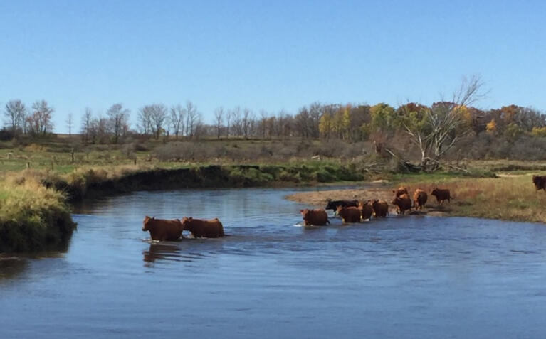 Crossing the Little Cedar River